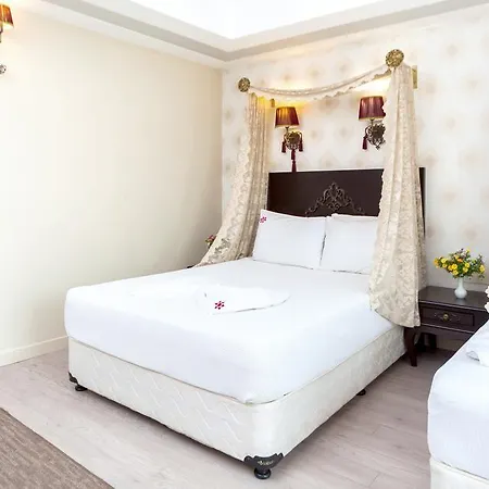 Hotel Cosmos