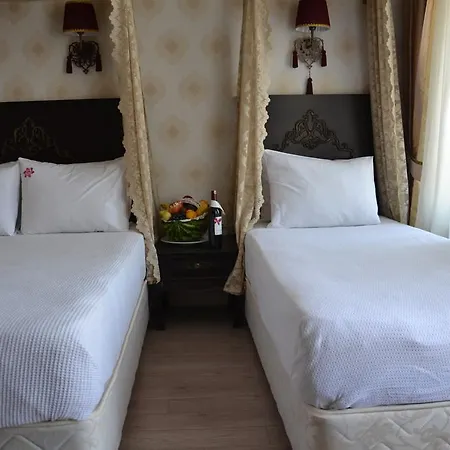 Hotel Cosmos