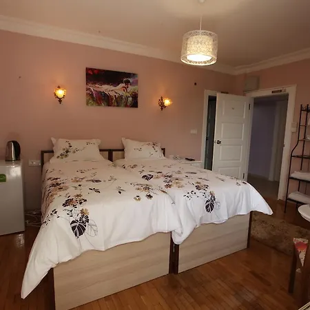 Yesim Suites Отель типа 