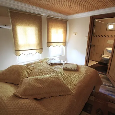 Apartment Coskun House *