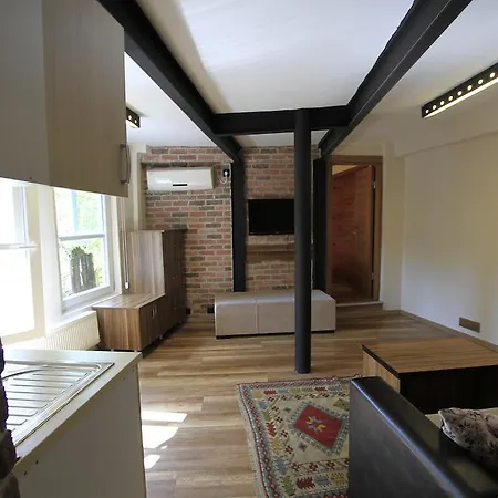 Apartment Coskun House *