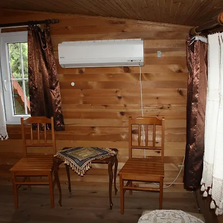 Coskun House
