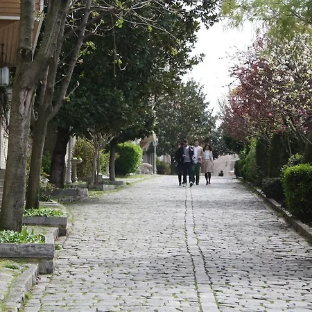 Coskun House Apartment *