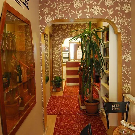 Hotel Med Cezir