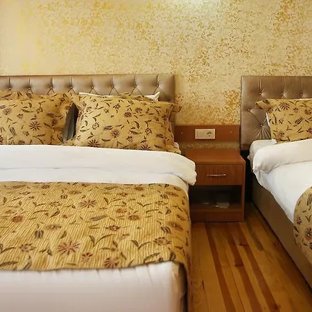 Hotel Theodian