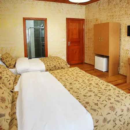 Hotel Theodian Provincia di Istanbul