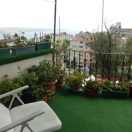 Sunflower Istanbul