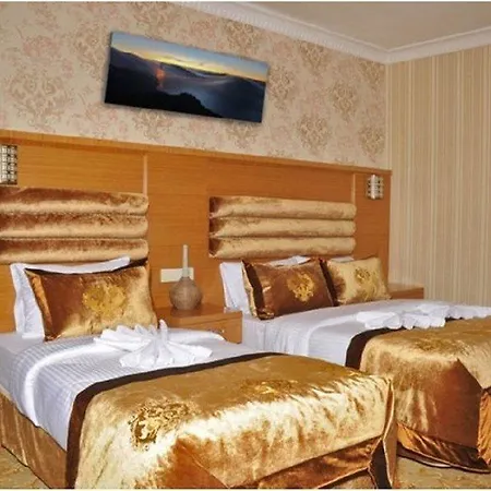فندق ألفا 4*