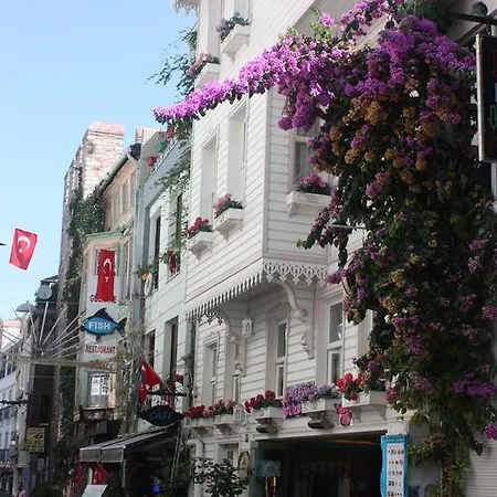 Apartment Romantic Mansion *