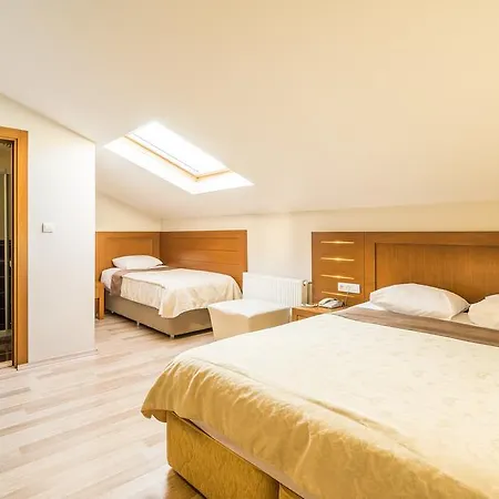 Hotel My Rose 2*