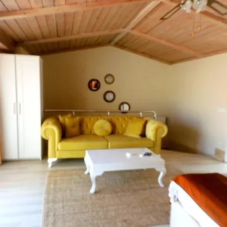 Mi̇esha Ottoman Palace Apartment Istanbul