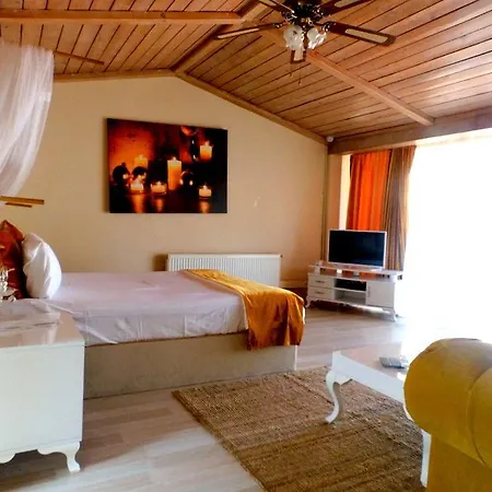 Apartment Mi̇esha Ottoman Palace *