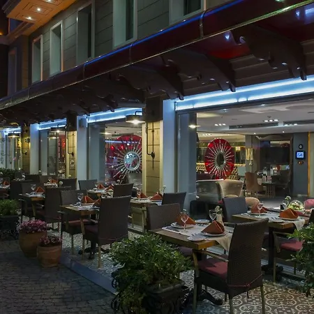 精品苏塔尼亚酒店 酒店 伊斯坦布尔