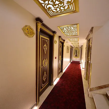 فندق ماي جولدن 4*