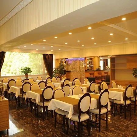 Hotel Alfa