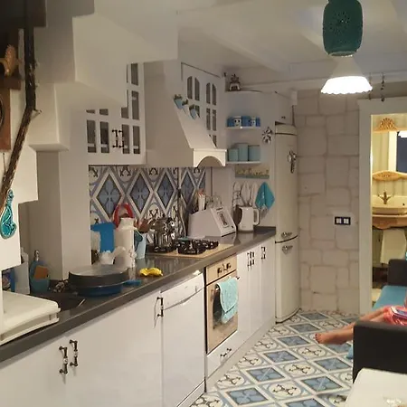 Dzg House *
