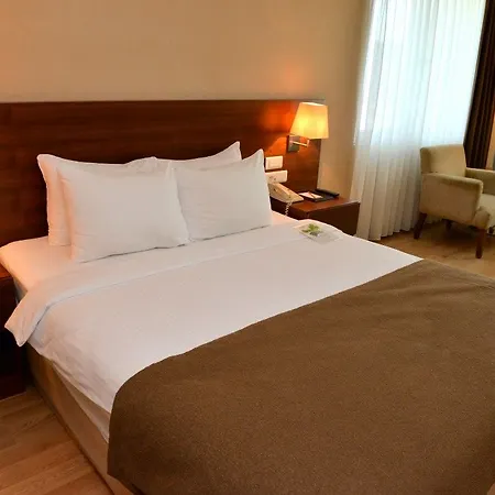 Dedeman Hotel