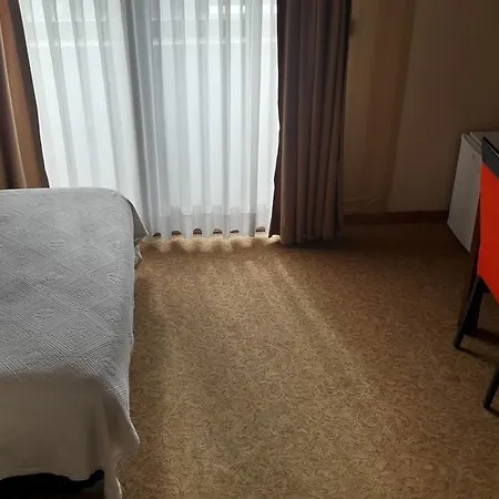 Hotel Mangana