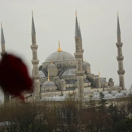 Hotel Esra Sultan Petrol 3*