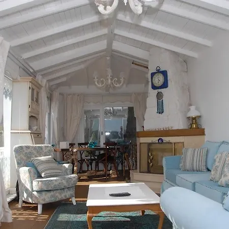 Dzg House *