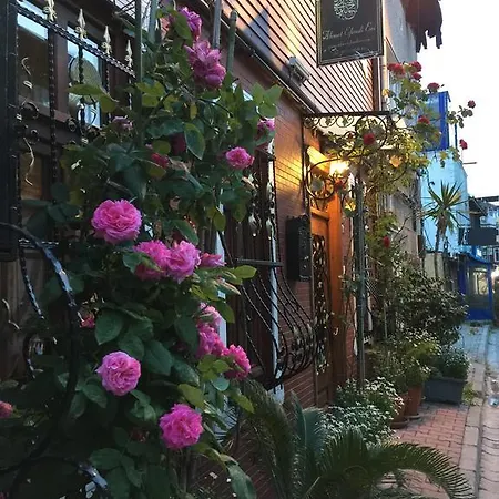 Guest house Ahmet Efendi Evi