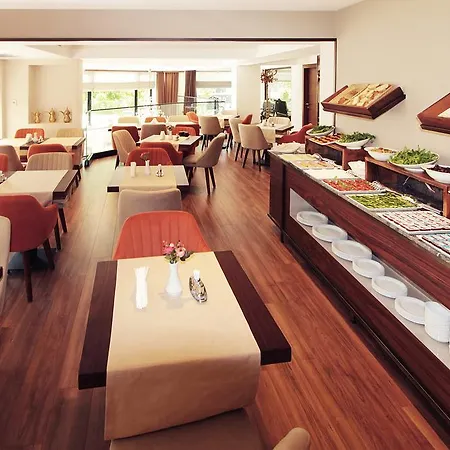 Pisa Hotel