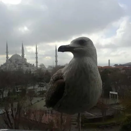 Esra Sultan Petrol