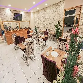 酒店 伊斯坦堡机场大酒店