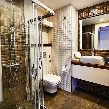 Hotel Arart