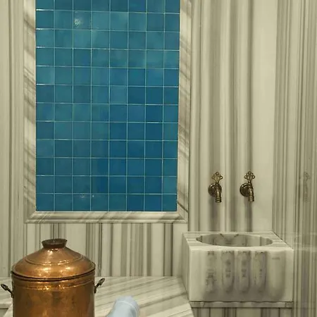 Hotel Medikal Termal Istanbul