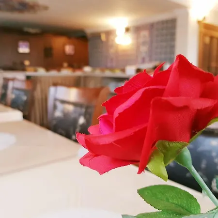 酒店 阿尔德姆酒店 3*
