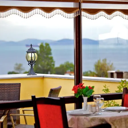 Amber & Spa Hotel