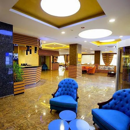 Отель The Rise Aron Business Merter 3*