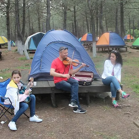 Camping *