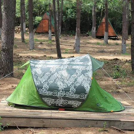 Camping *