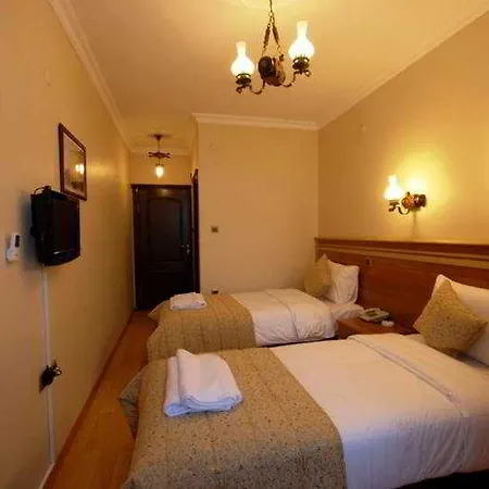 Fors Otel 3*