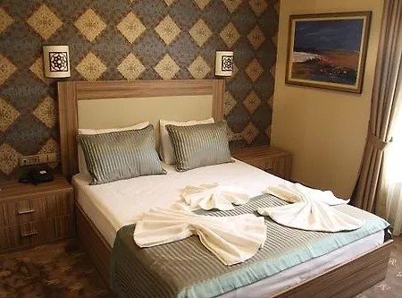 Отель The Rise Aron Business Merter 3*