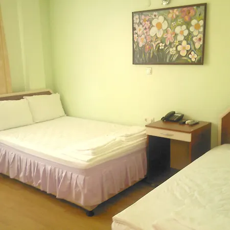 Aladeniz Hotel 2*