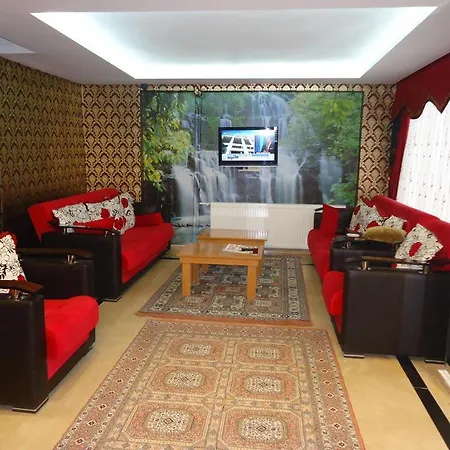 Altun Otel 2*