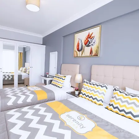 Serenity Airport Hotel 4*