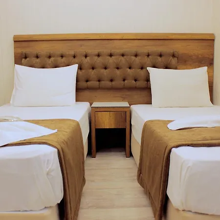 Buyuk Paris 3*