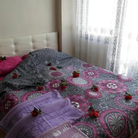 Eroz House *