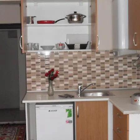 Eroz House *