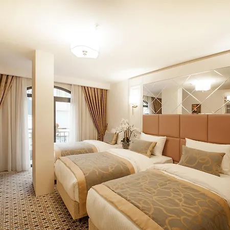 Hotel Beethoven - Special Category