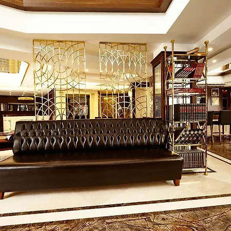 Beethoven - Special Category Istanbul