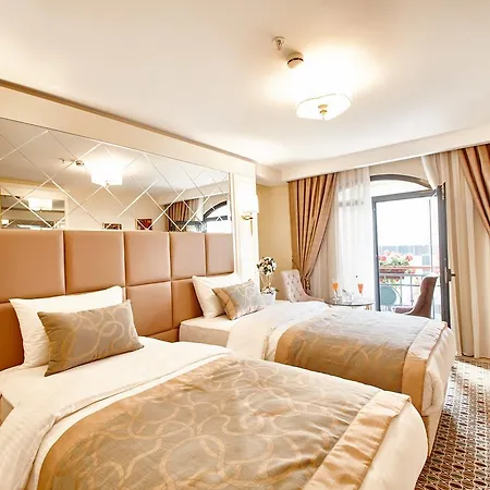 Hotel Beethoven - Special Category