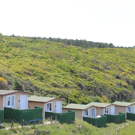 Sahil Kamp * اسطنبول