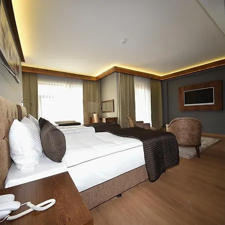 The Elegant Hotel