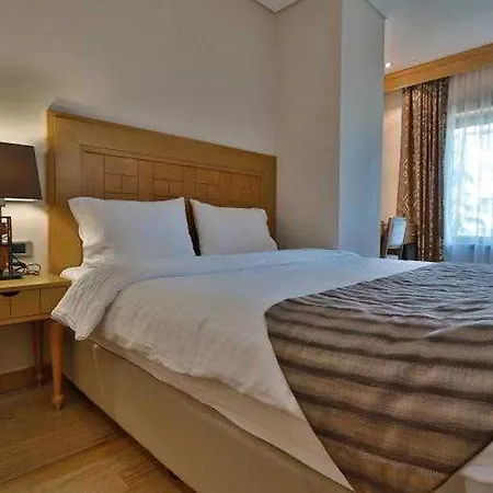 Hotel Queen &