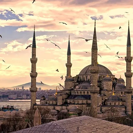 Hot Budget Ortakoy Istanbul